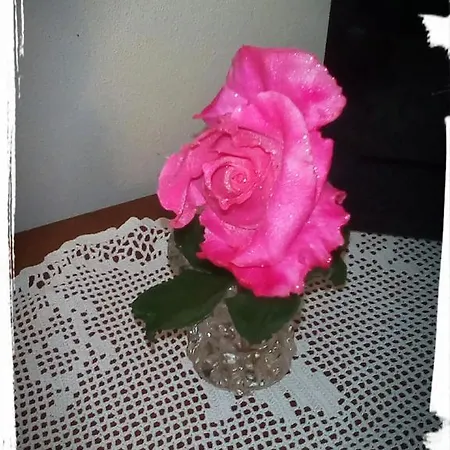 Nocleg ze śniadaniem Cascina Crocetta